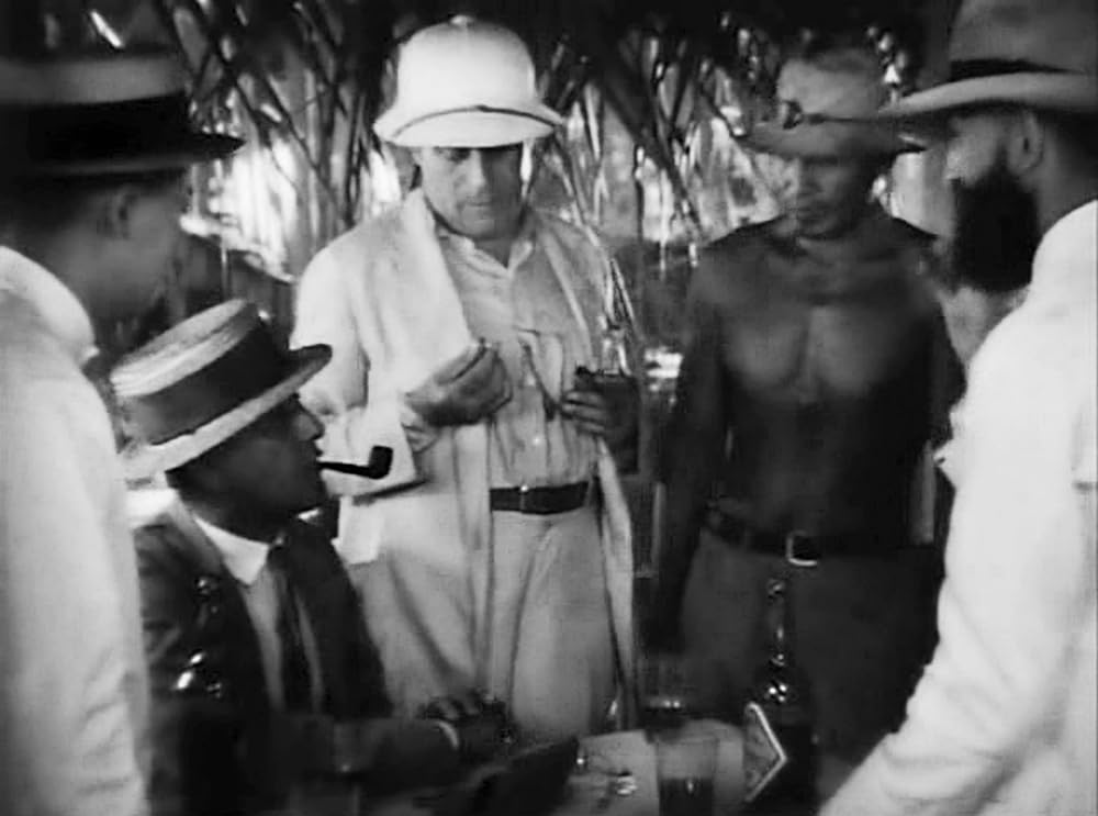 南海の白影の画像