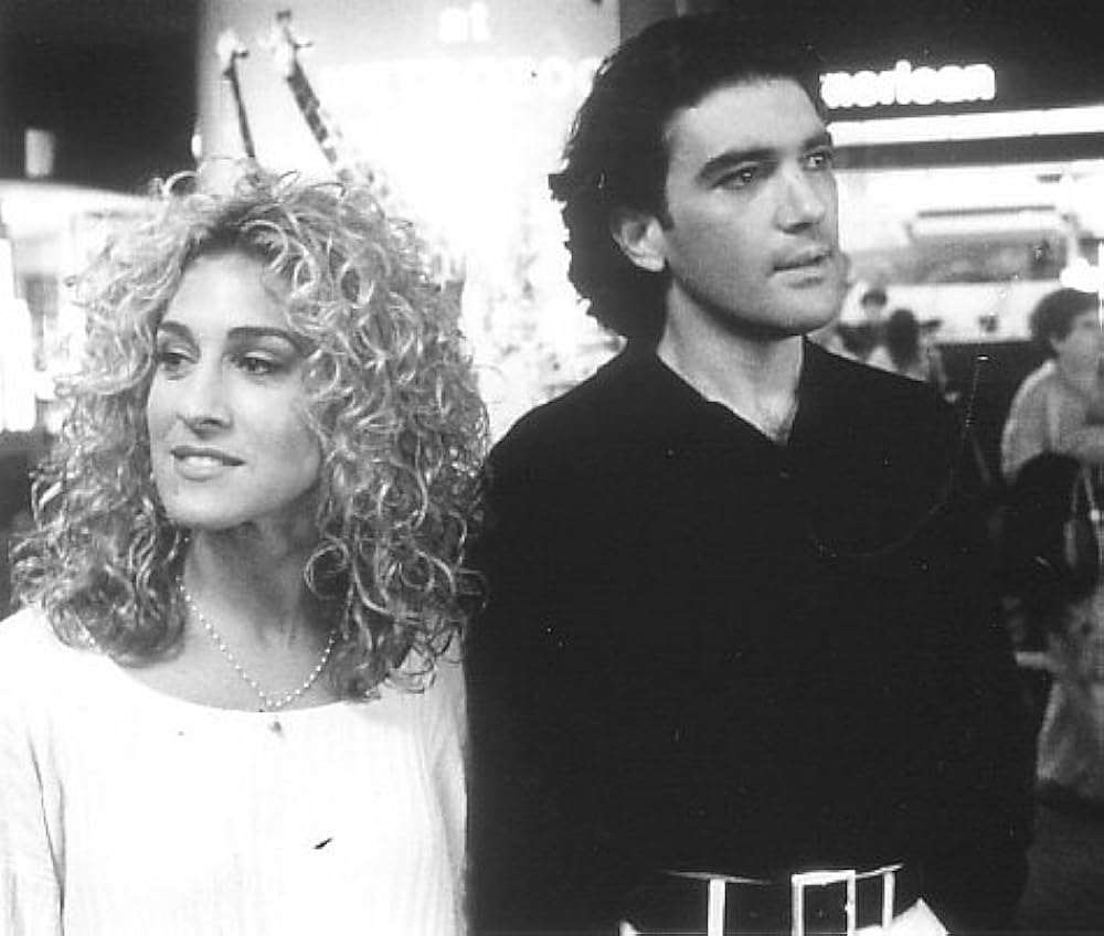 マイアミ・ラプソディーの画像