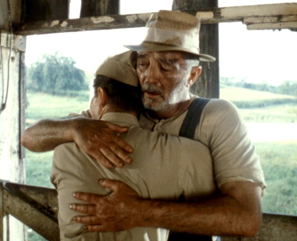 マリアの恋人の画像