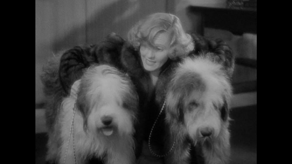 街は春風の画像