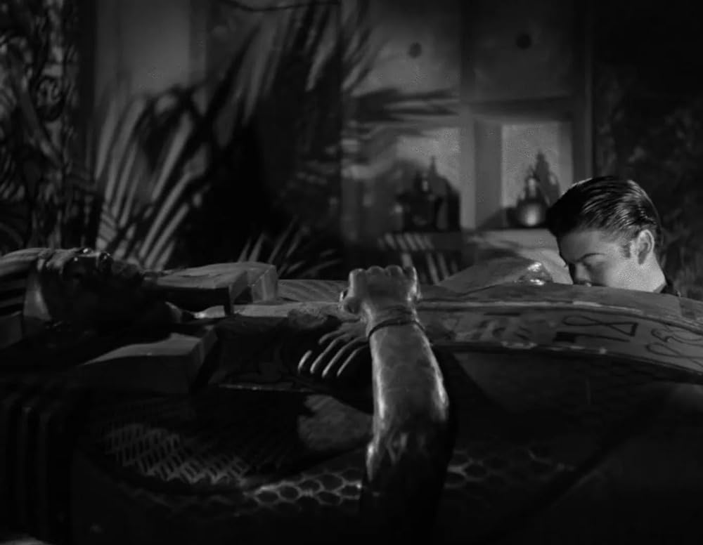 ミイラの墓場の画像