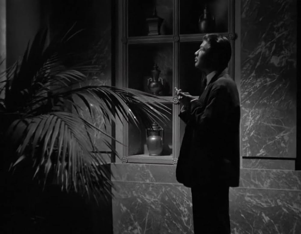 ミイラの墓場の画像