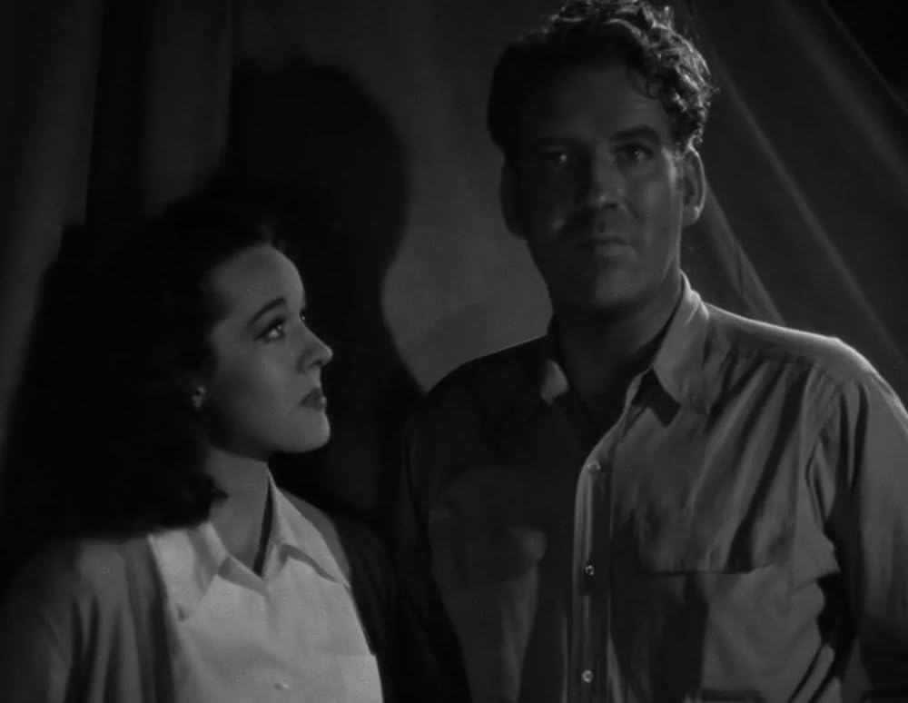 ミイラの墓場の画像