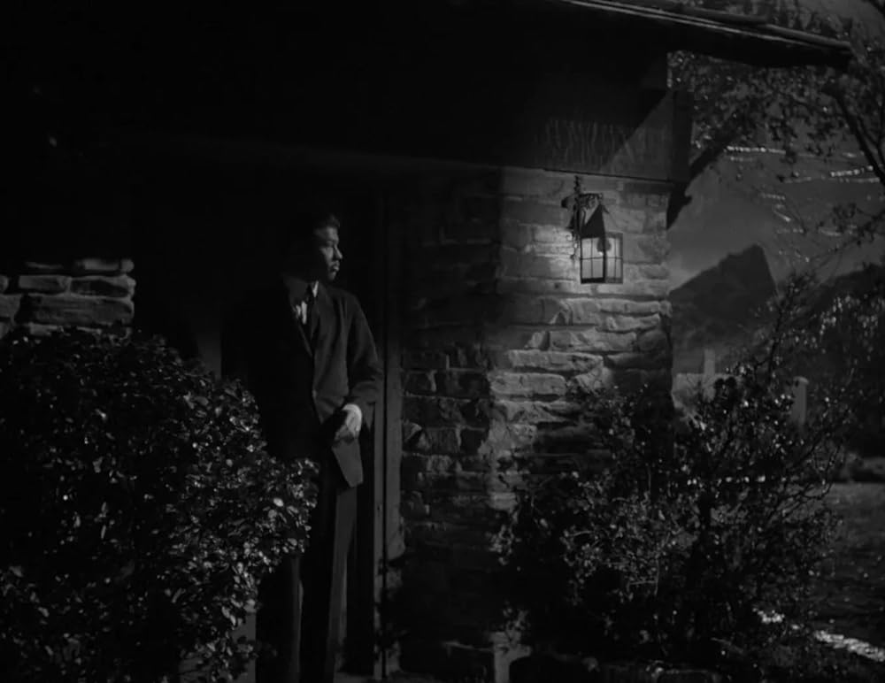 ミイラの墓場の画像