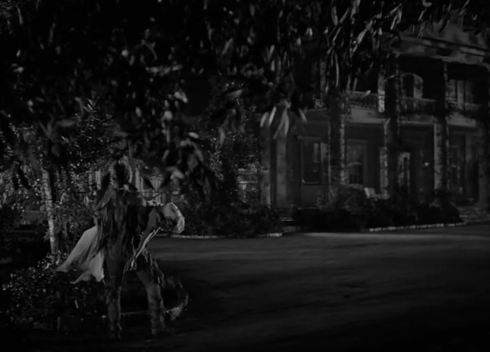 ミイラの墓場の画像