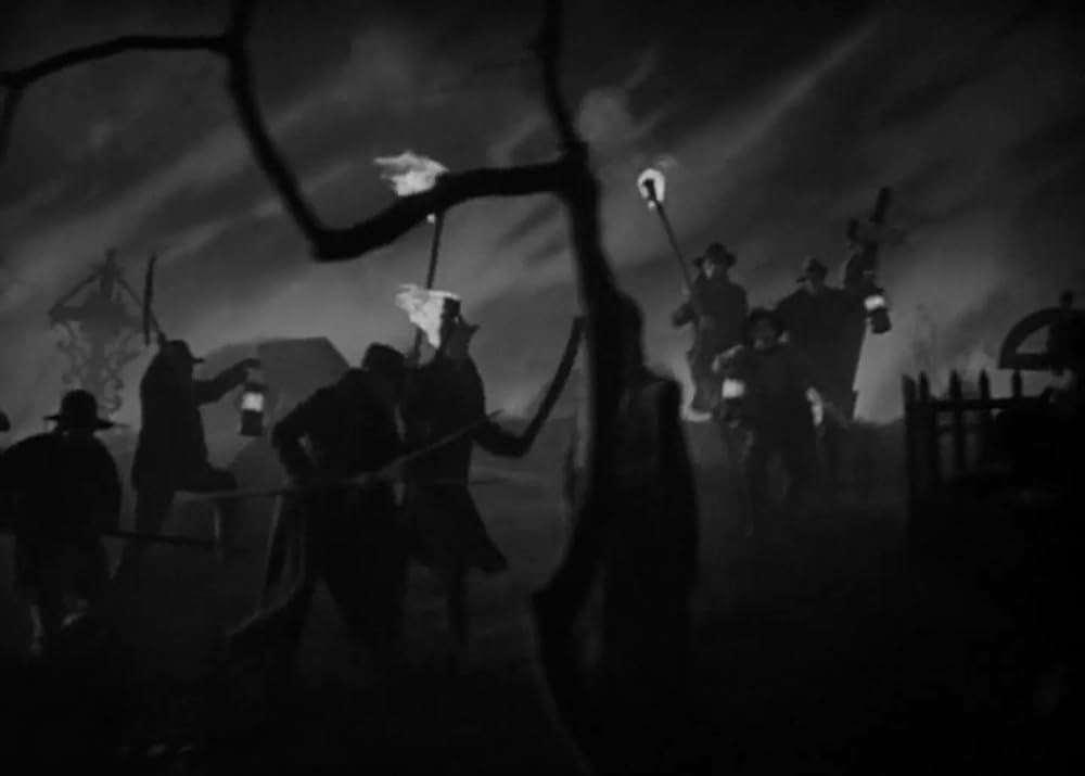 ミイラの墓場の画像