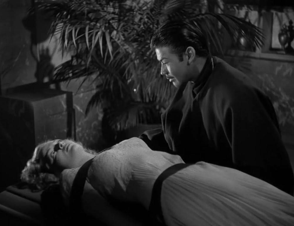 ミイラの墓場の画像