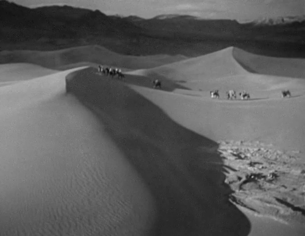 ミイラの墓場の画像