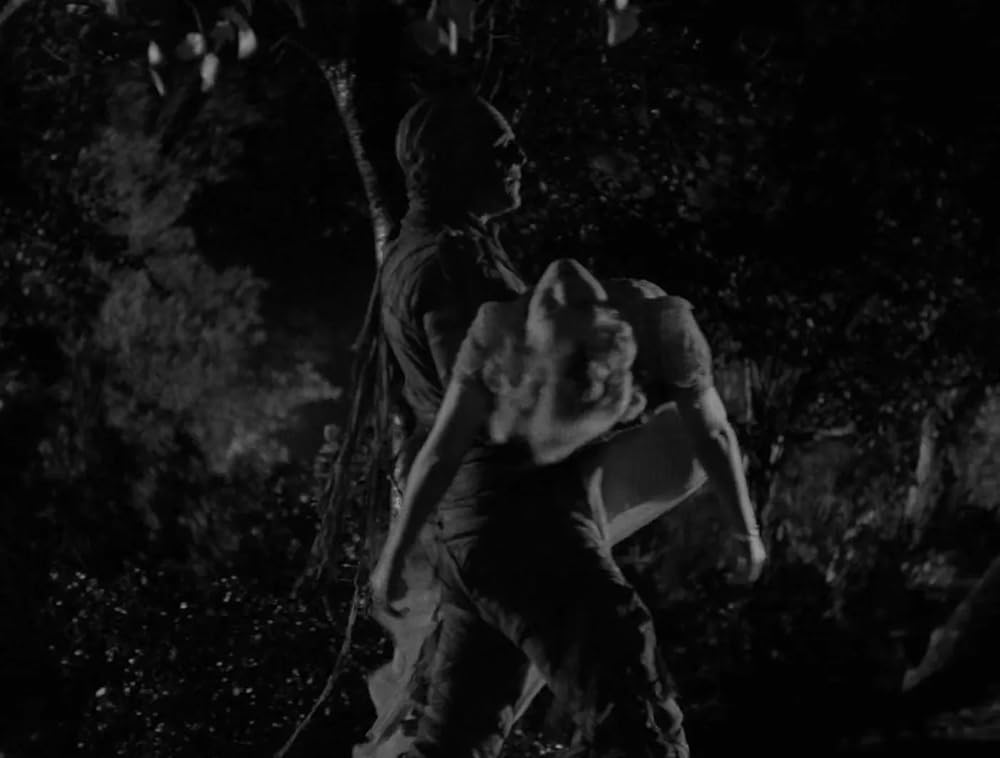 ミイラの墓場の画像