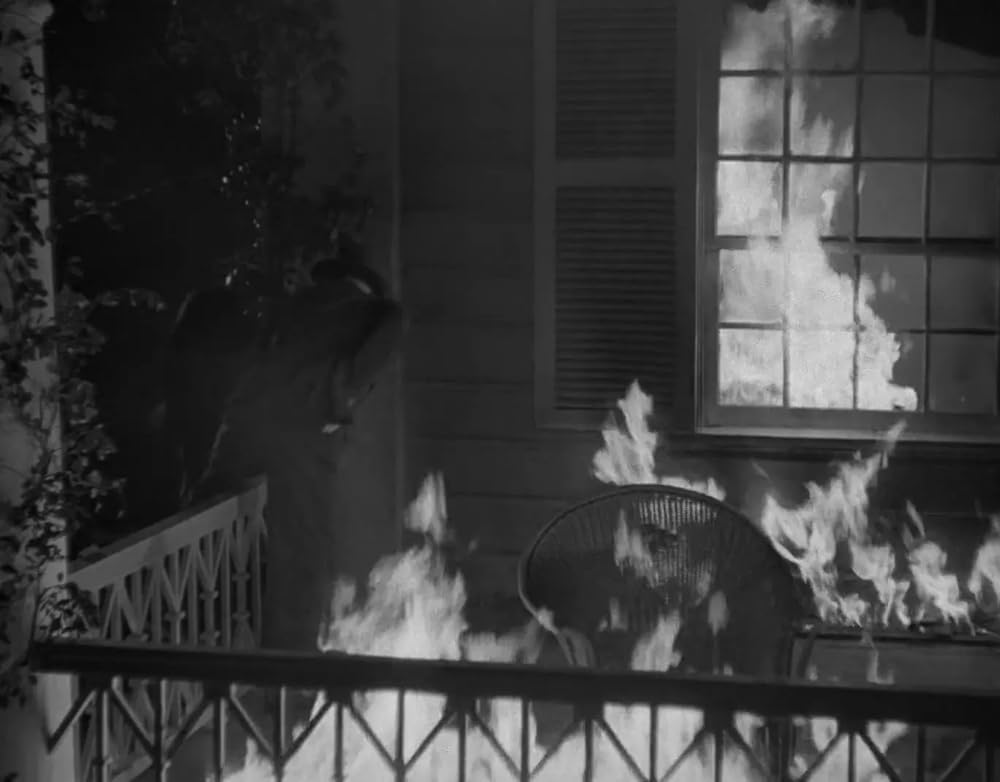 ミイラの墓場の画像