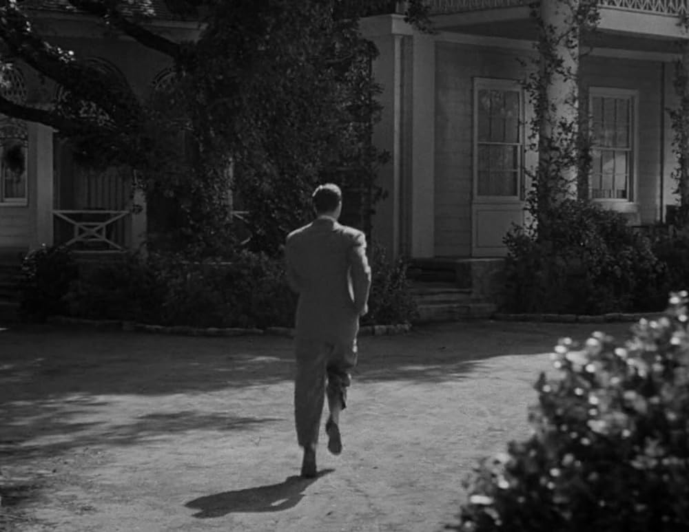 ミイラの墓場の画像