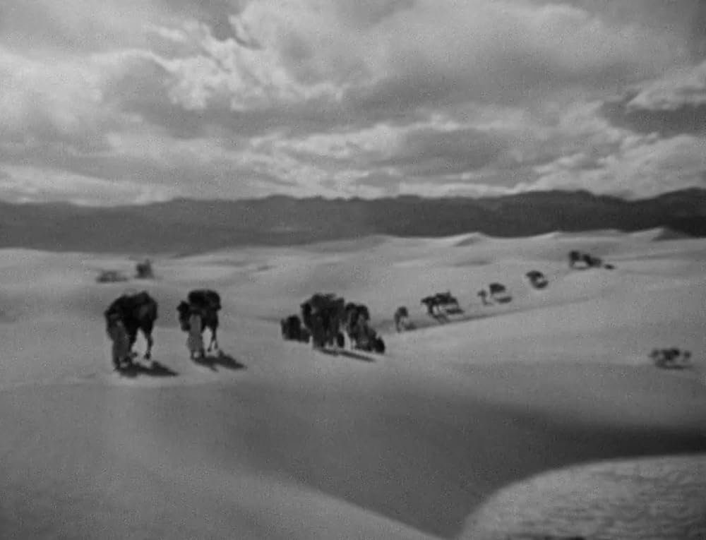 ミイラの墓場の画像