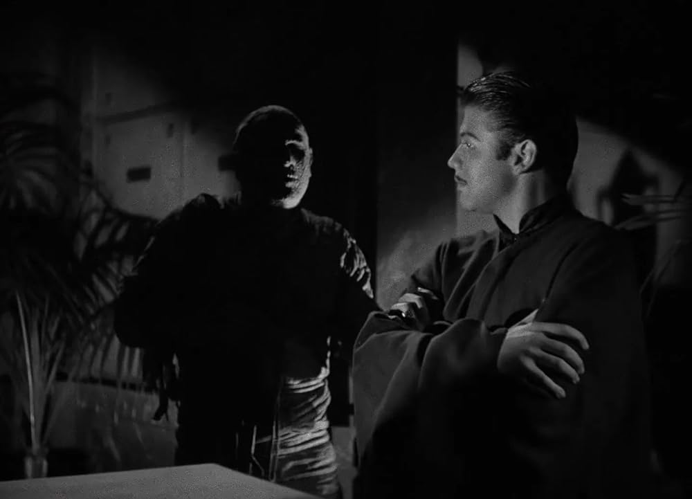 ミイラの墓場の画像