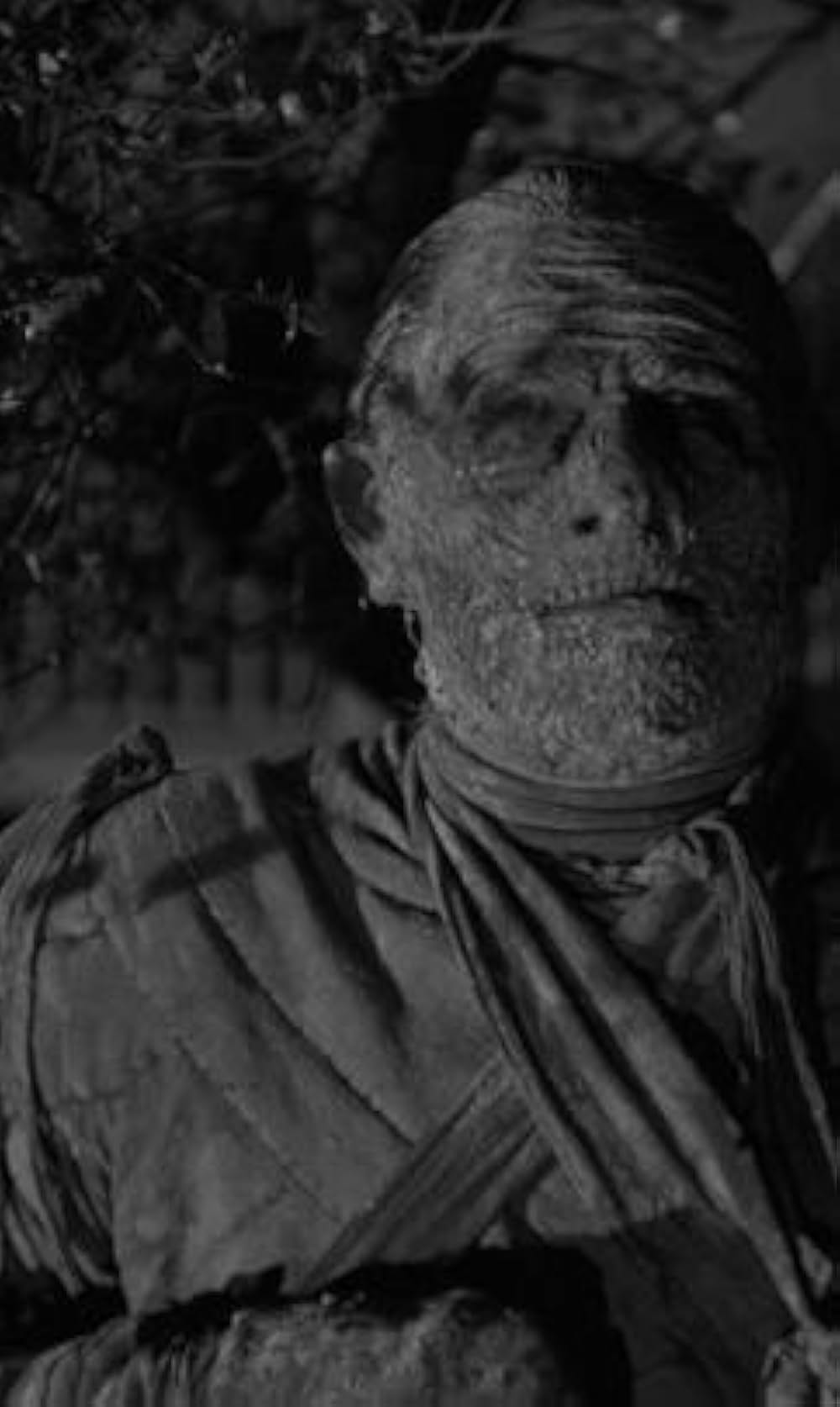 ミイラの墓場の画像