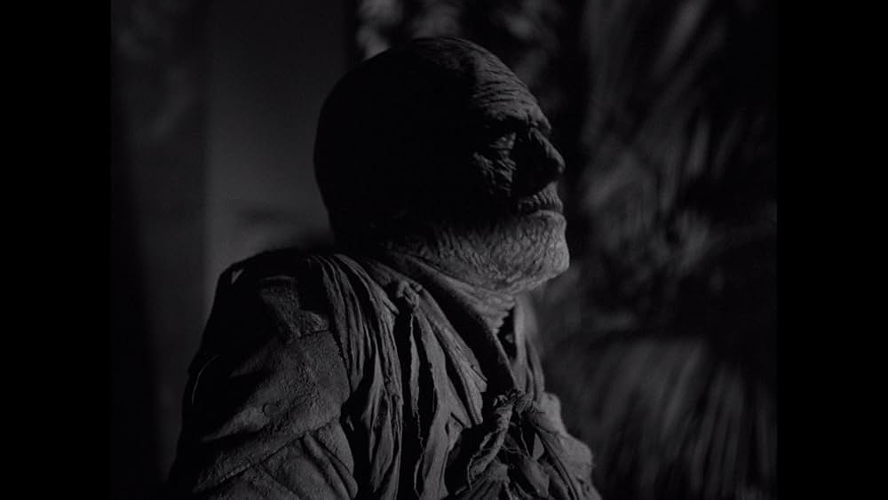 ミイラの墓場の画像