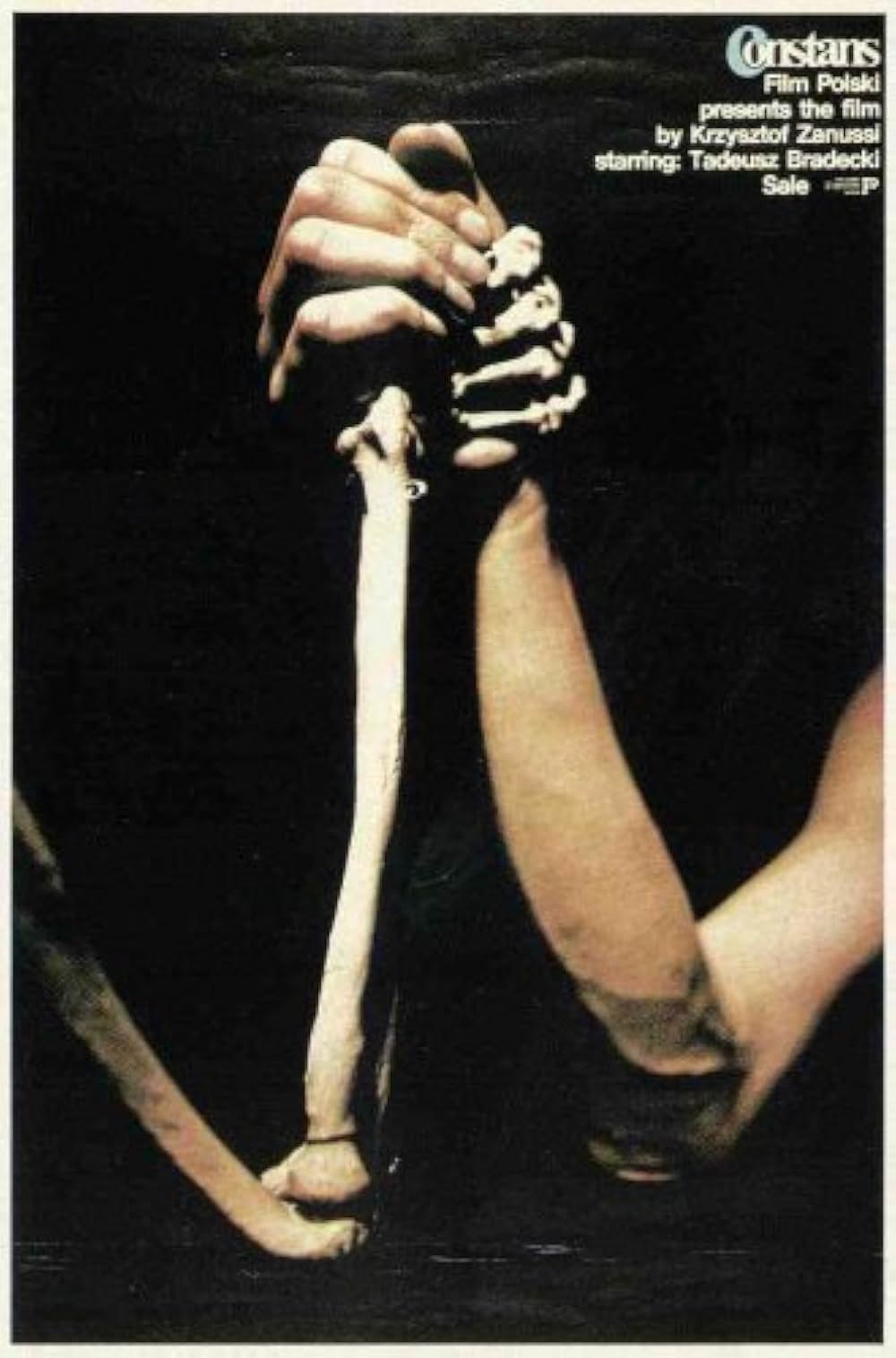 コンスタンスの画像