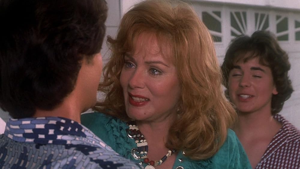 ゆかいなブレディー家／我が家がイチバンの画像