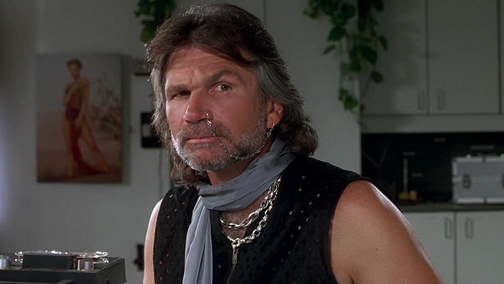 ゆかいなブレディー家／我が家がイチバンの画像