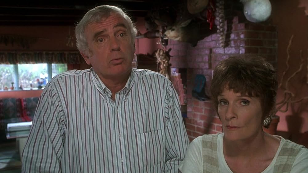 ゆかいなブレディー家／我が家がイチバンの画像