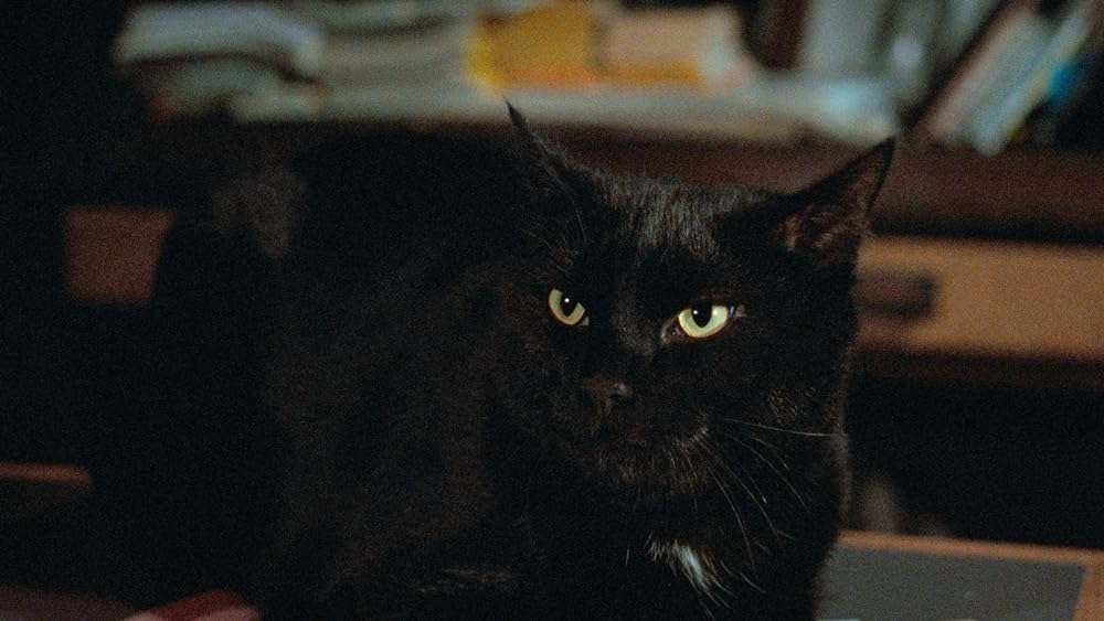 マスターズ・オブ・ホラー／悪夢の狂宴の画像