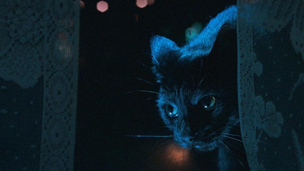 マスターズ・オブ・ホラー／悪夢の狂宴の画像