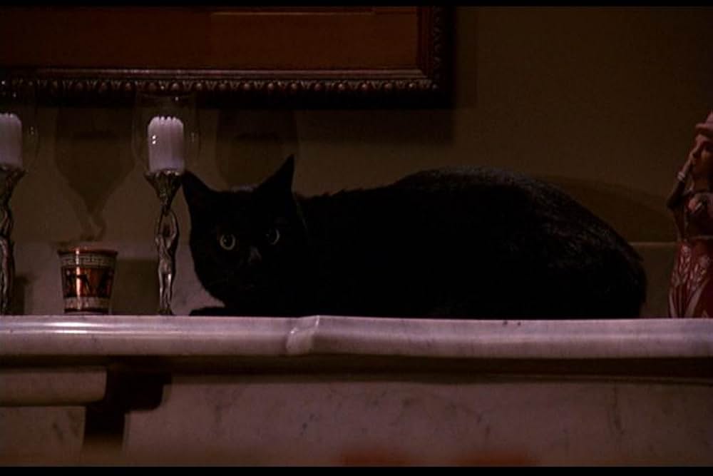 マスターズ・オブ・ホラー／悪夢の狂宴の画像