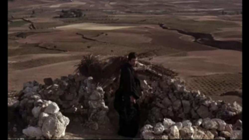 夏の夜の10時30分の画像