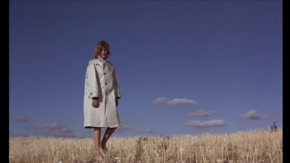 夏の夜の10時30分の画像