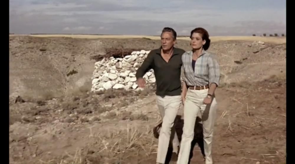 夏の夜の10時30分の画像