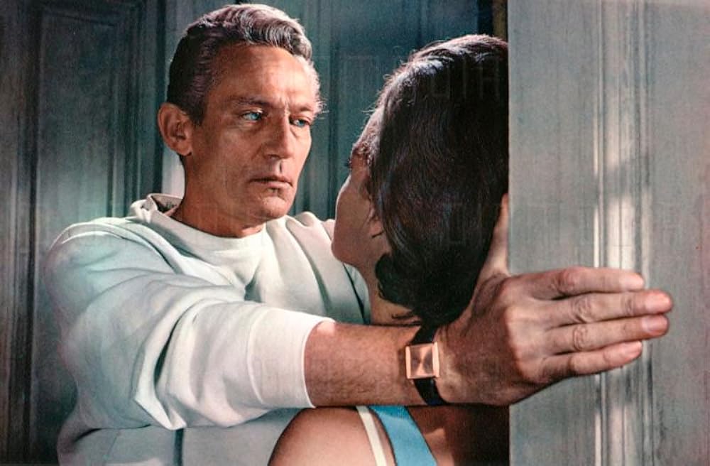 夏の夜の10時30分の画像