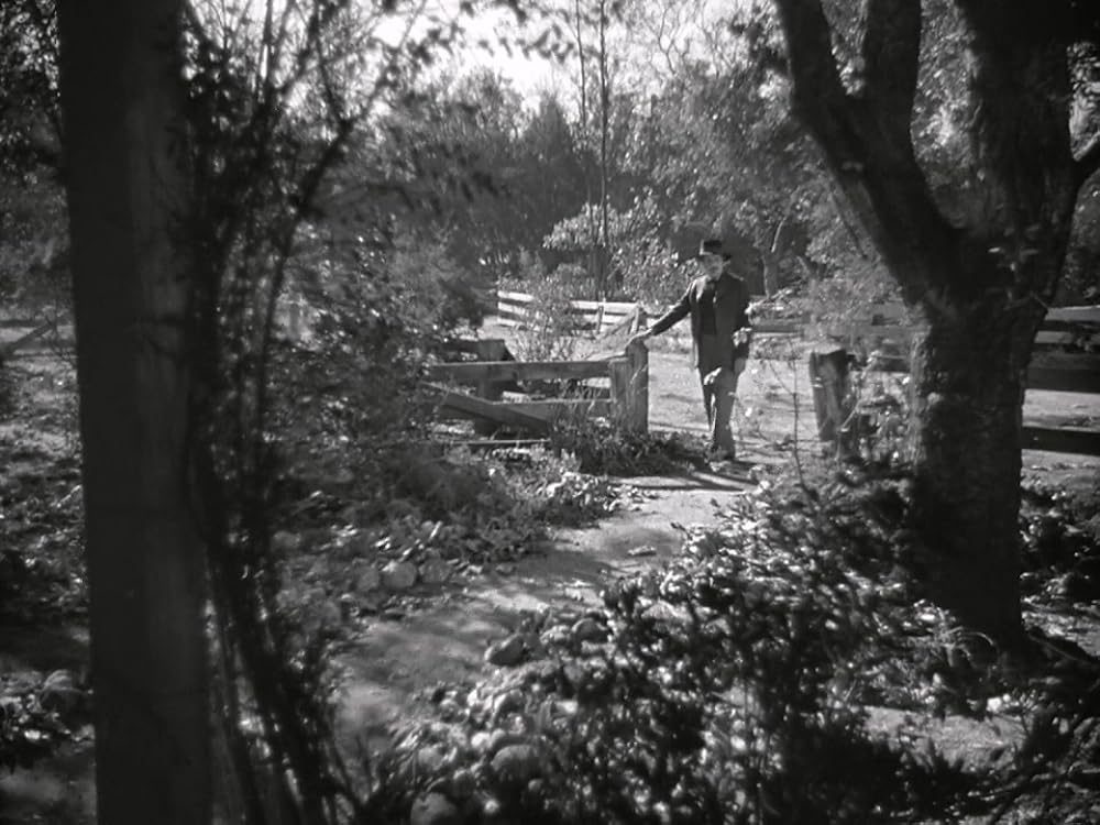 虎鮫島脱獄の画像