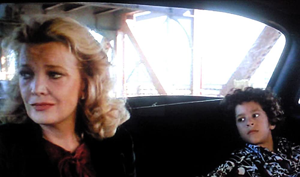 グロリアの画像