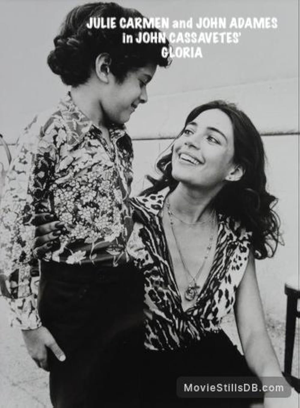 グロリアの画像