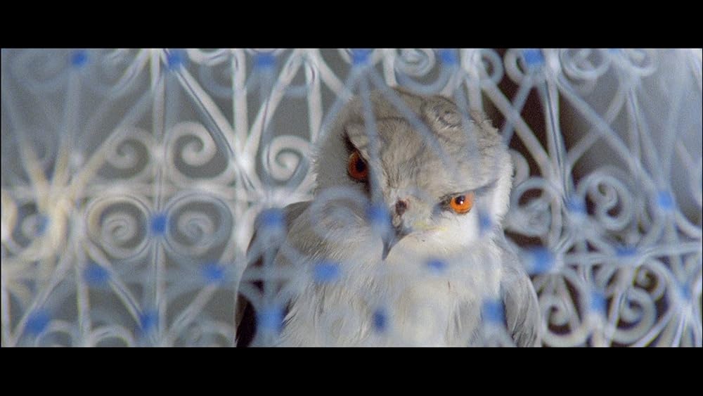 スパズモの画像