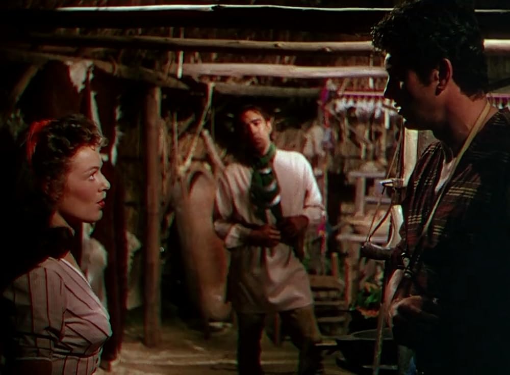 最後の酋長の画像