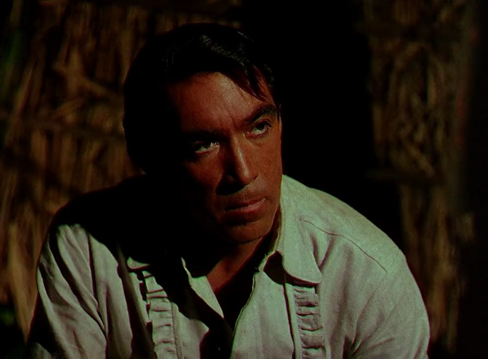 最後の酋長の画像