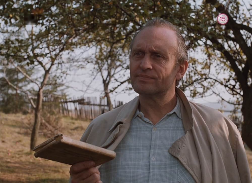 ガーデンの画像