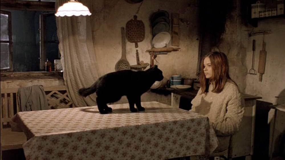 ガーデンの画像