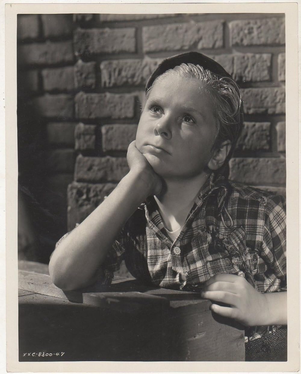 バワリイの画像