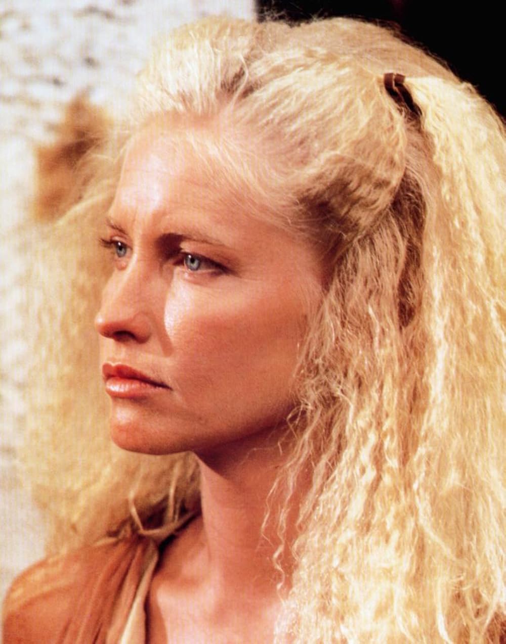 スティール・ドーン／太陽の戦士の画像