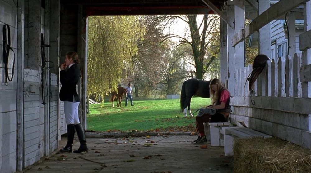 ダリアンの画像