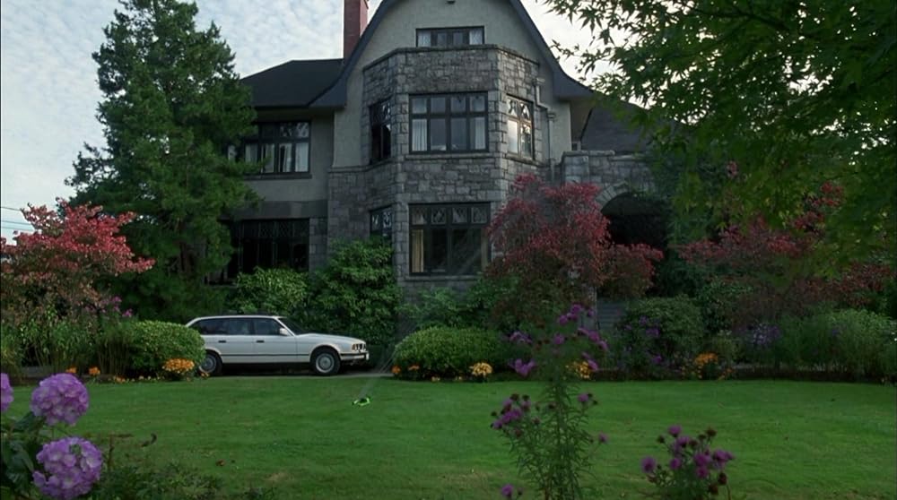 ダリアンの画像