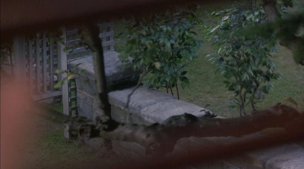 ダリアンの画像