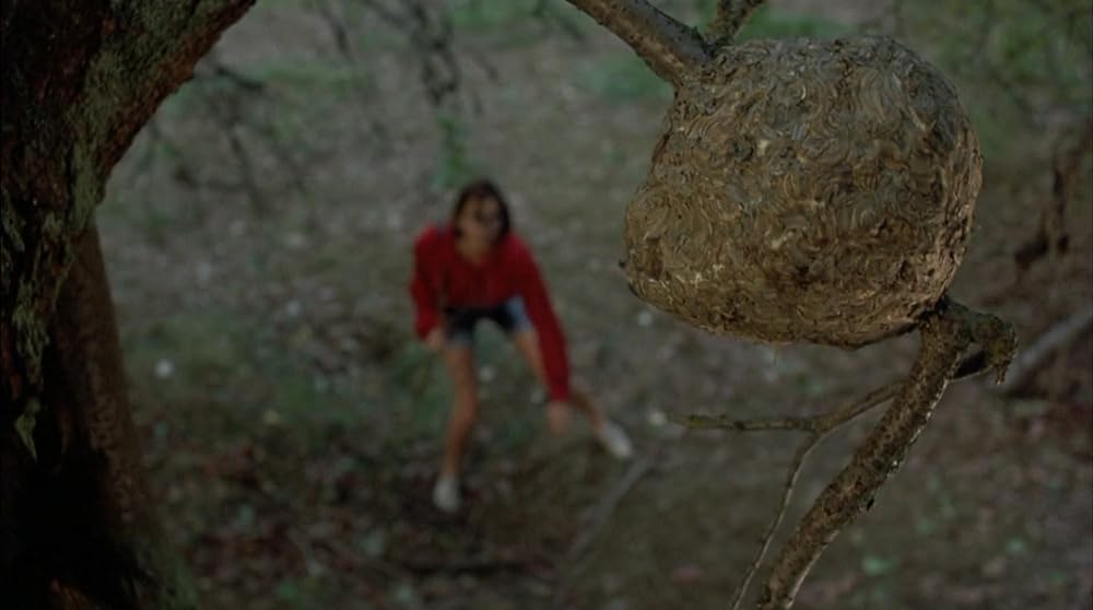 ダリアンの画像