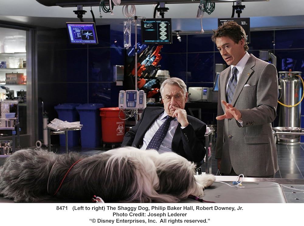 シャギー・ドッグの画像