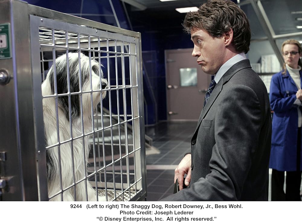 シャギー・ドッグの画像