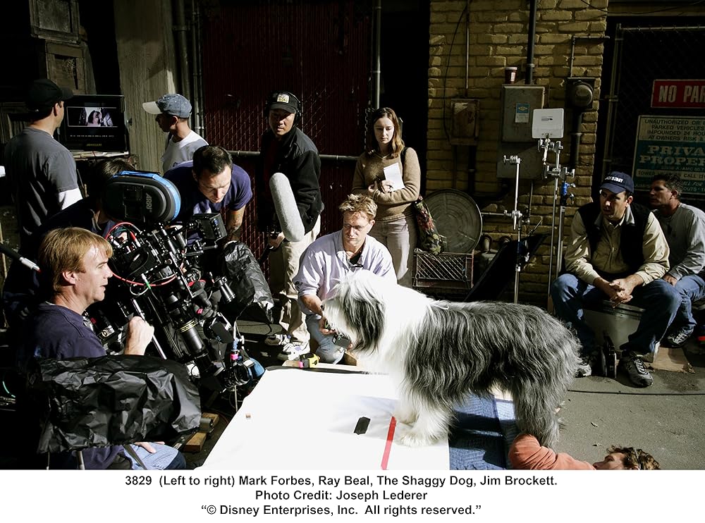 シャギー・ドッグの画像