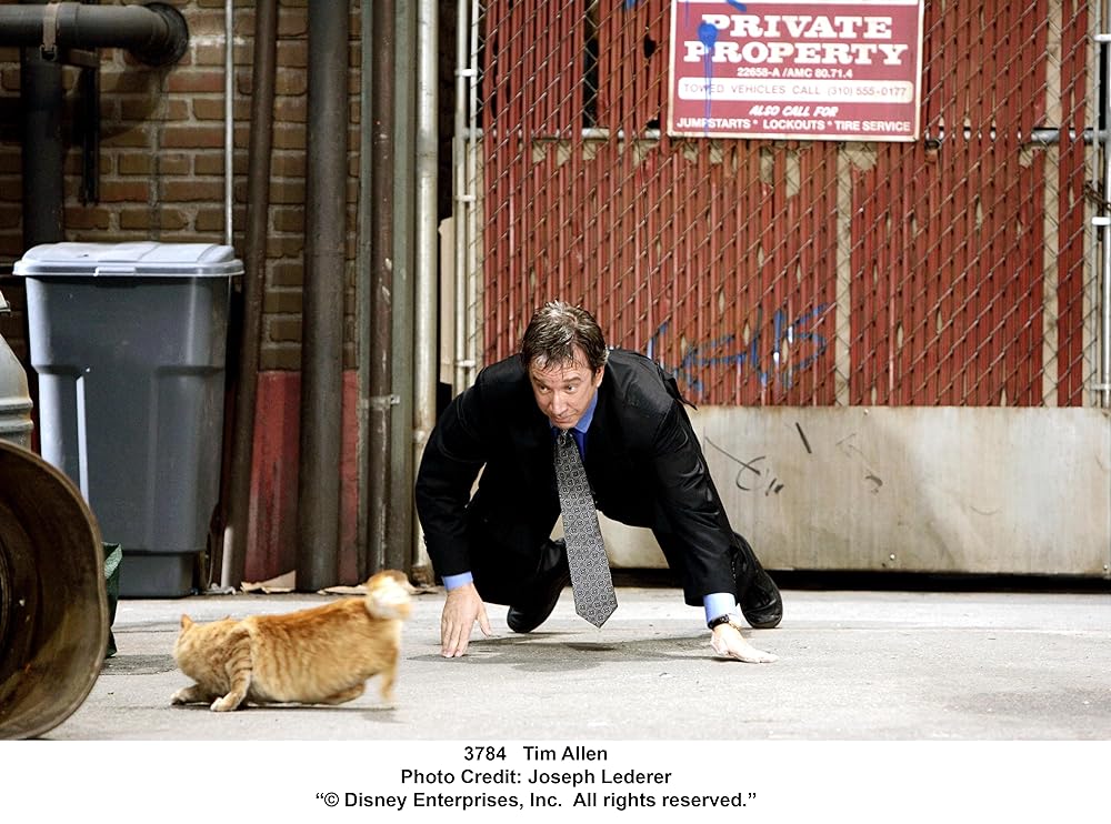 シャギー・ドッグの画像