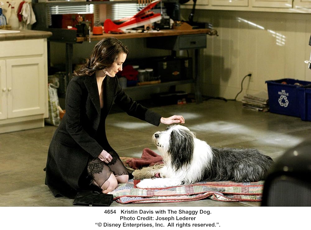 シャギー・ドッグの画像