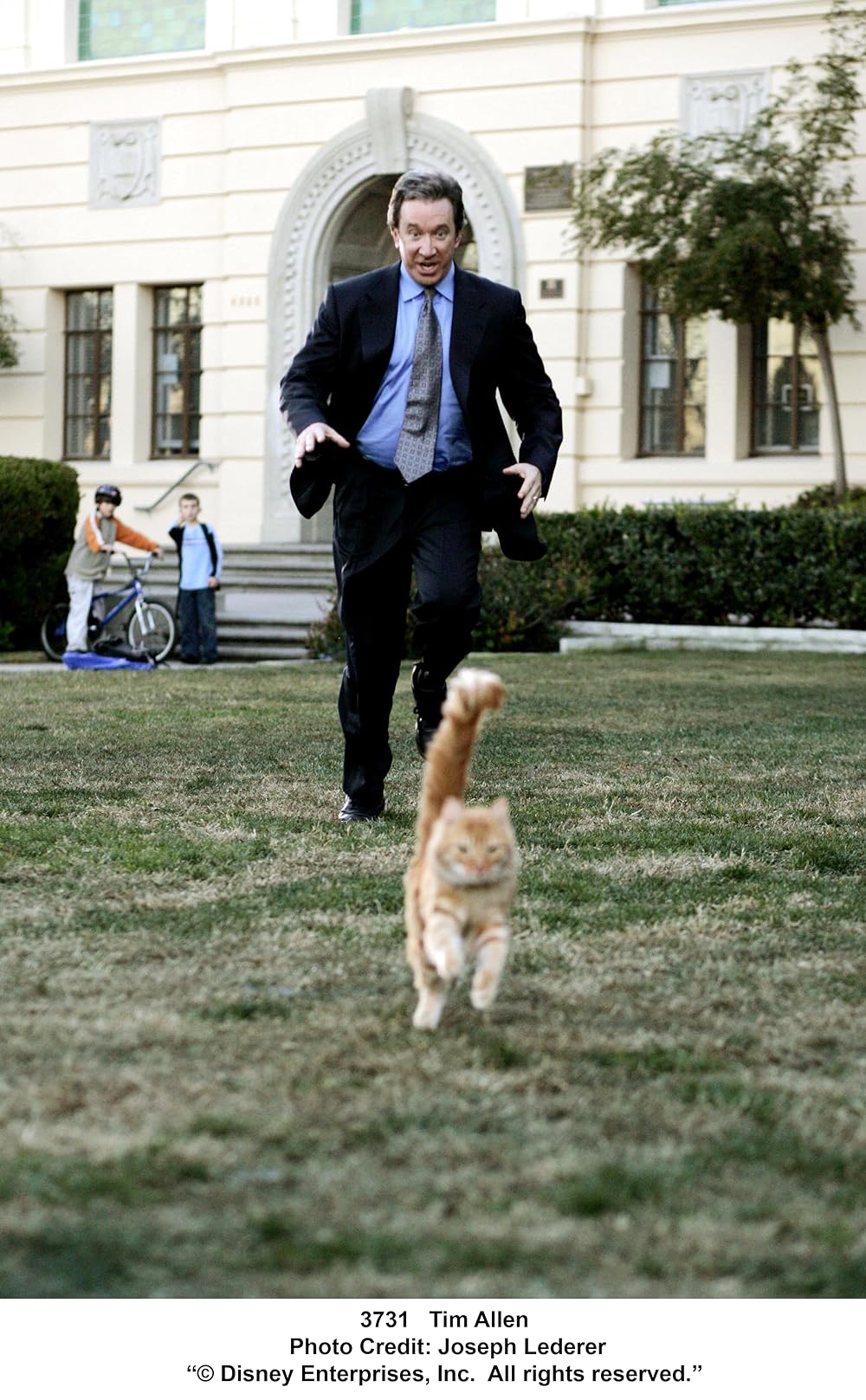 シャギー・ドッグの画像